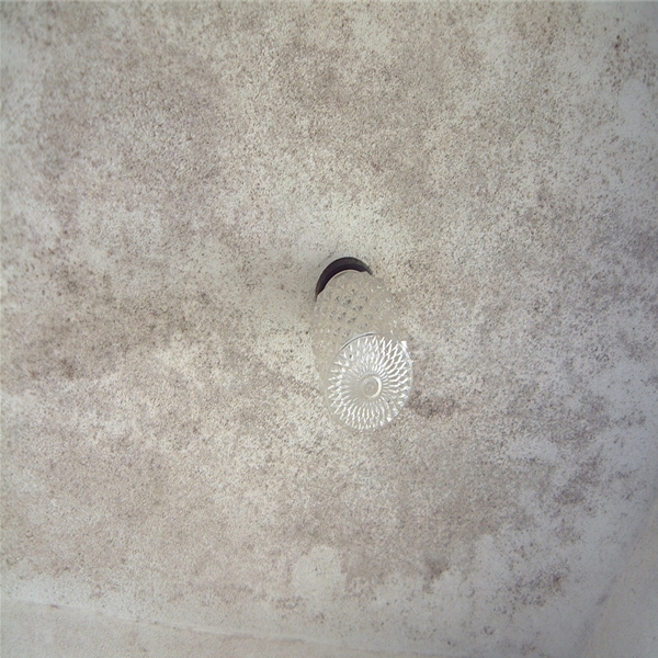 広島県 安佐南区 MIST工法による 浴室の除カビ施工　Before